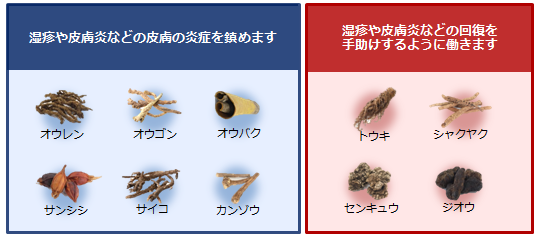 アクトマンの構成成分