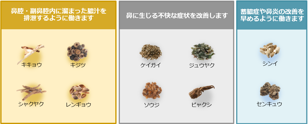 ホノミビスキン 成分