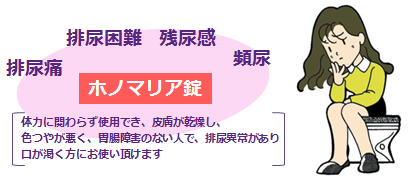 ホノマリア錠の説明画像