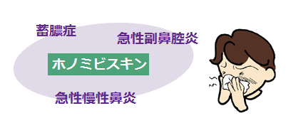 ホノミビスキンの説明画像
