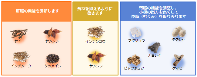 ジョッキの構成成分