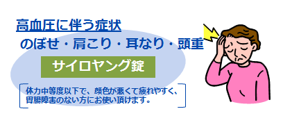 サイロヤング錠の説明画像