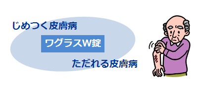 ワグラスW錠の説明画像